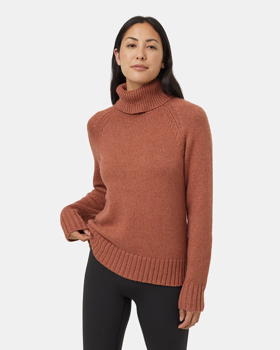 TENTREE Highline Ribbed Wool Turtleneck Sweater